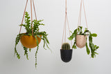 Capra block colour dome hanging pot
