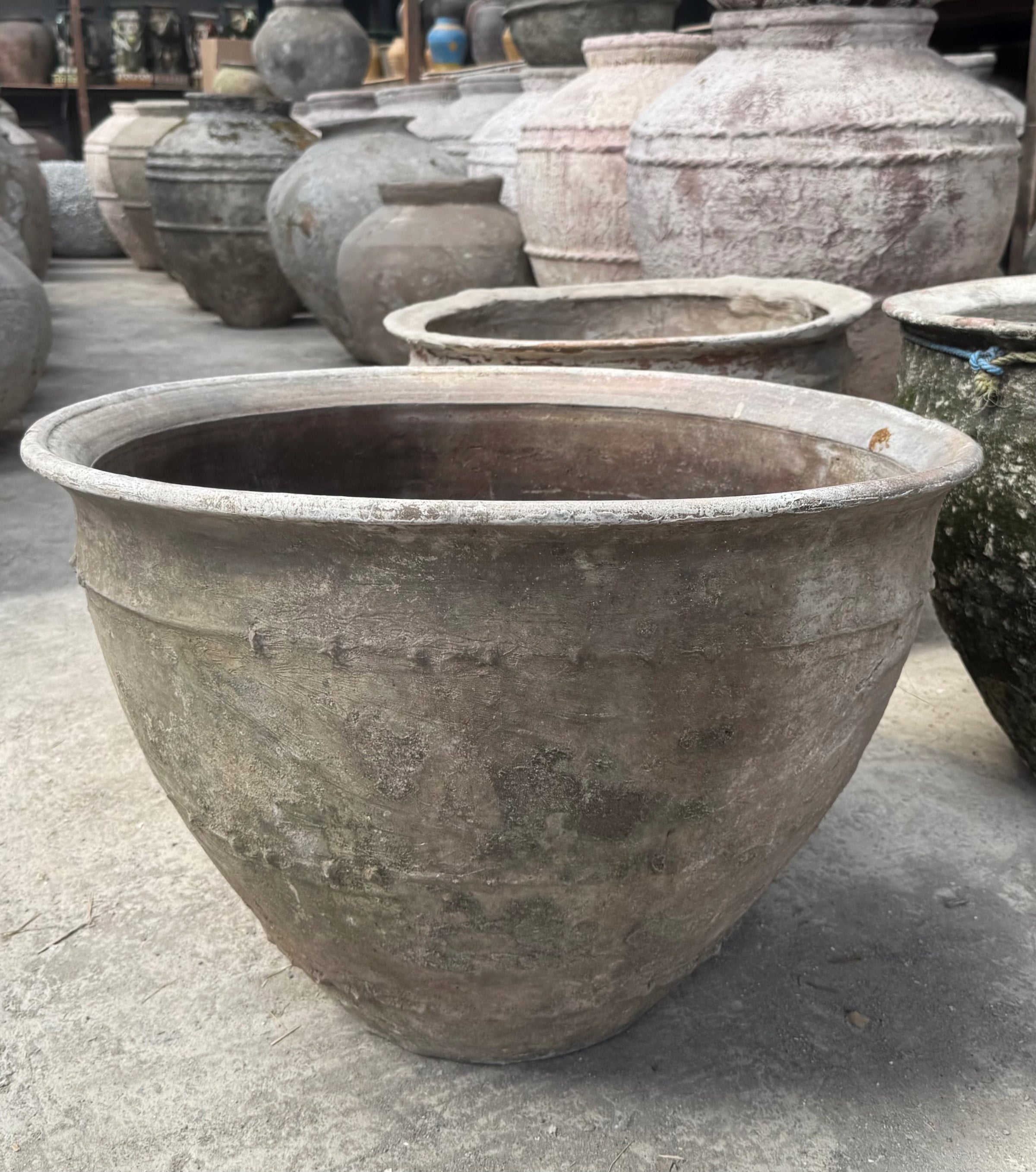 Advika Water Bowl