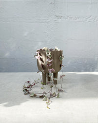 Hanging plant