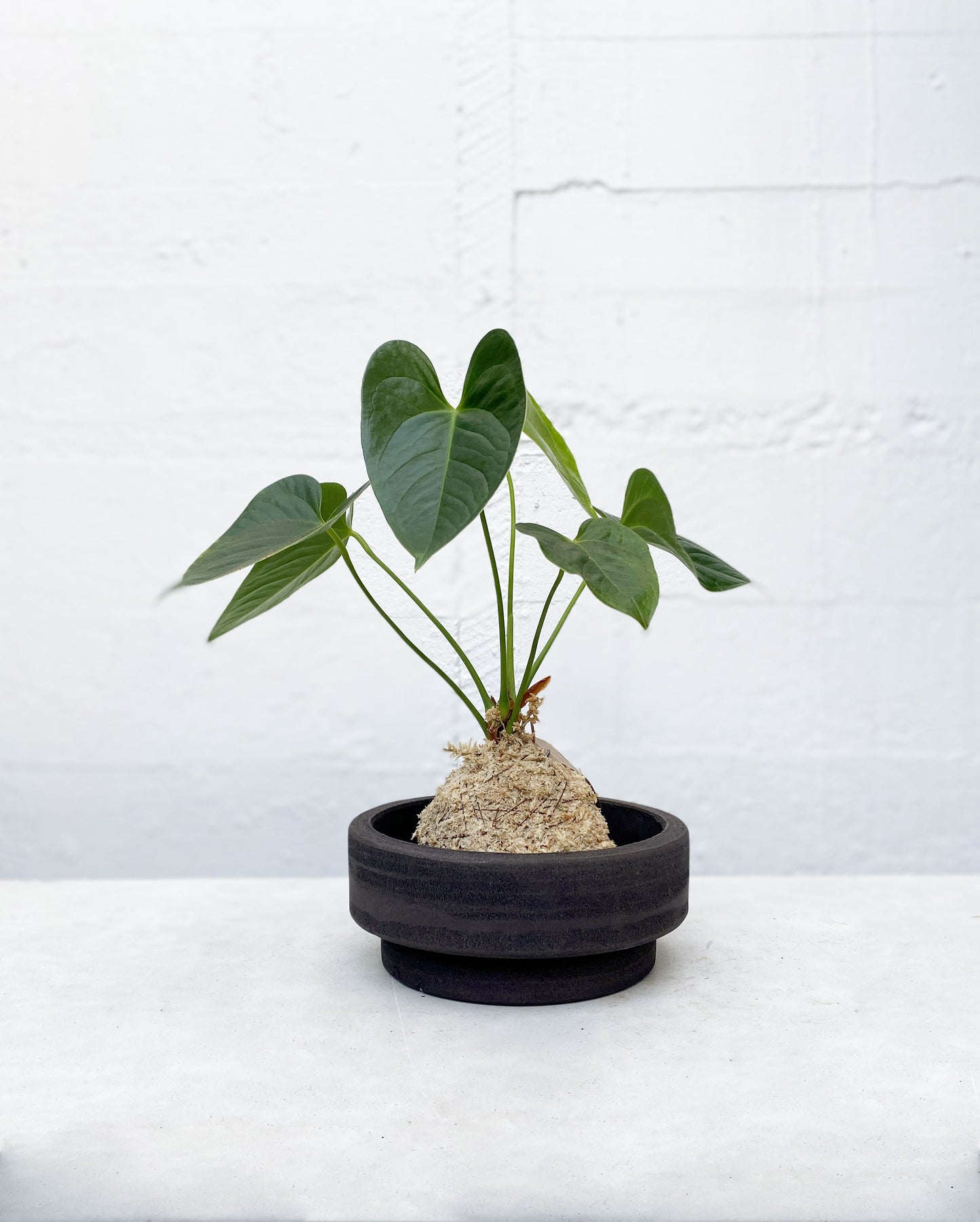 Cylinder black pot