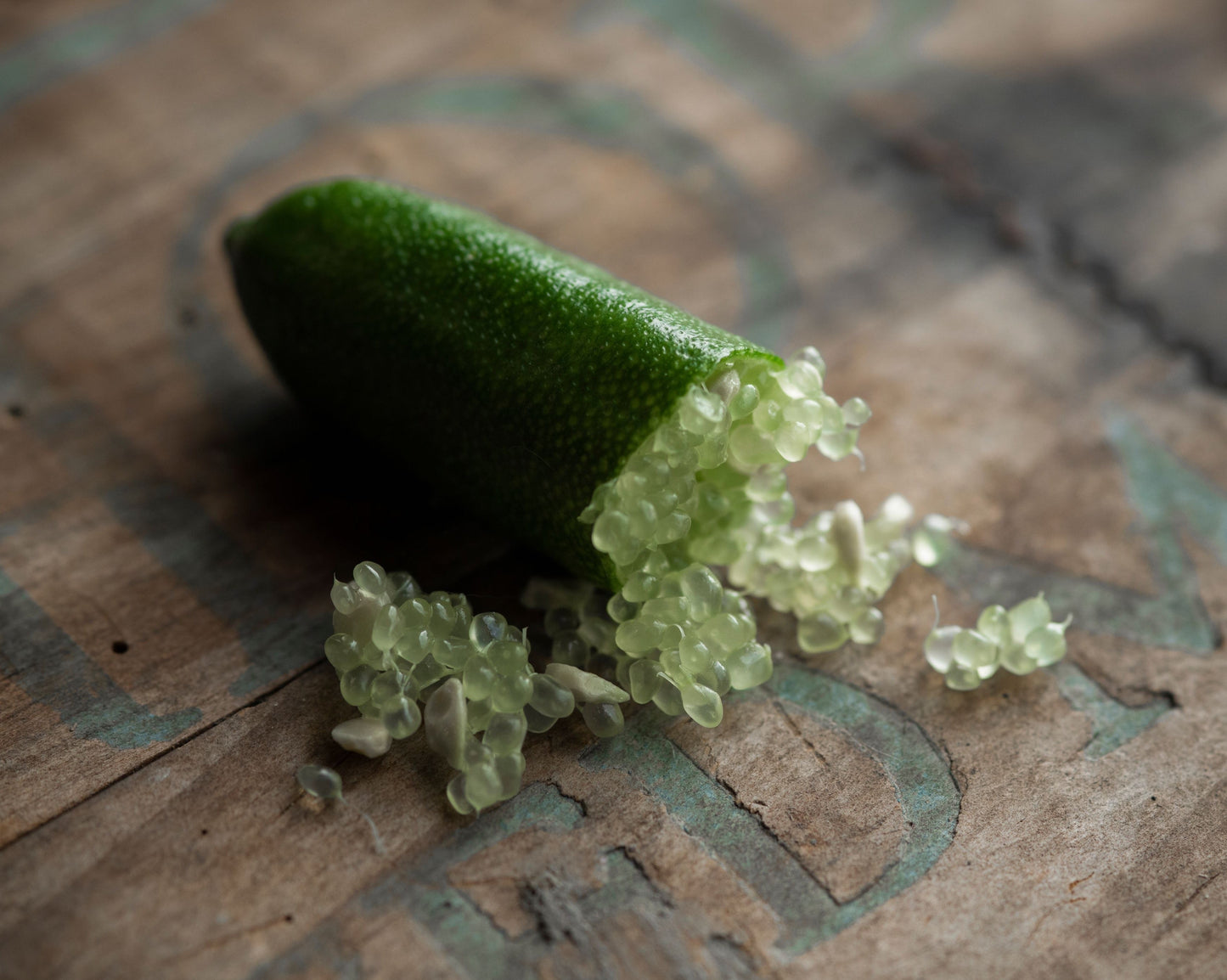Citrus Finger Lime