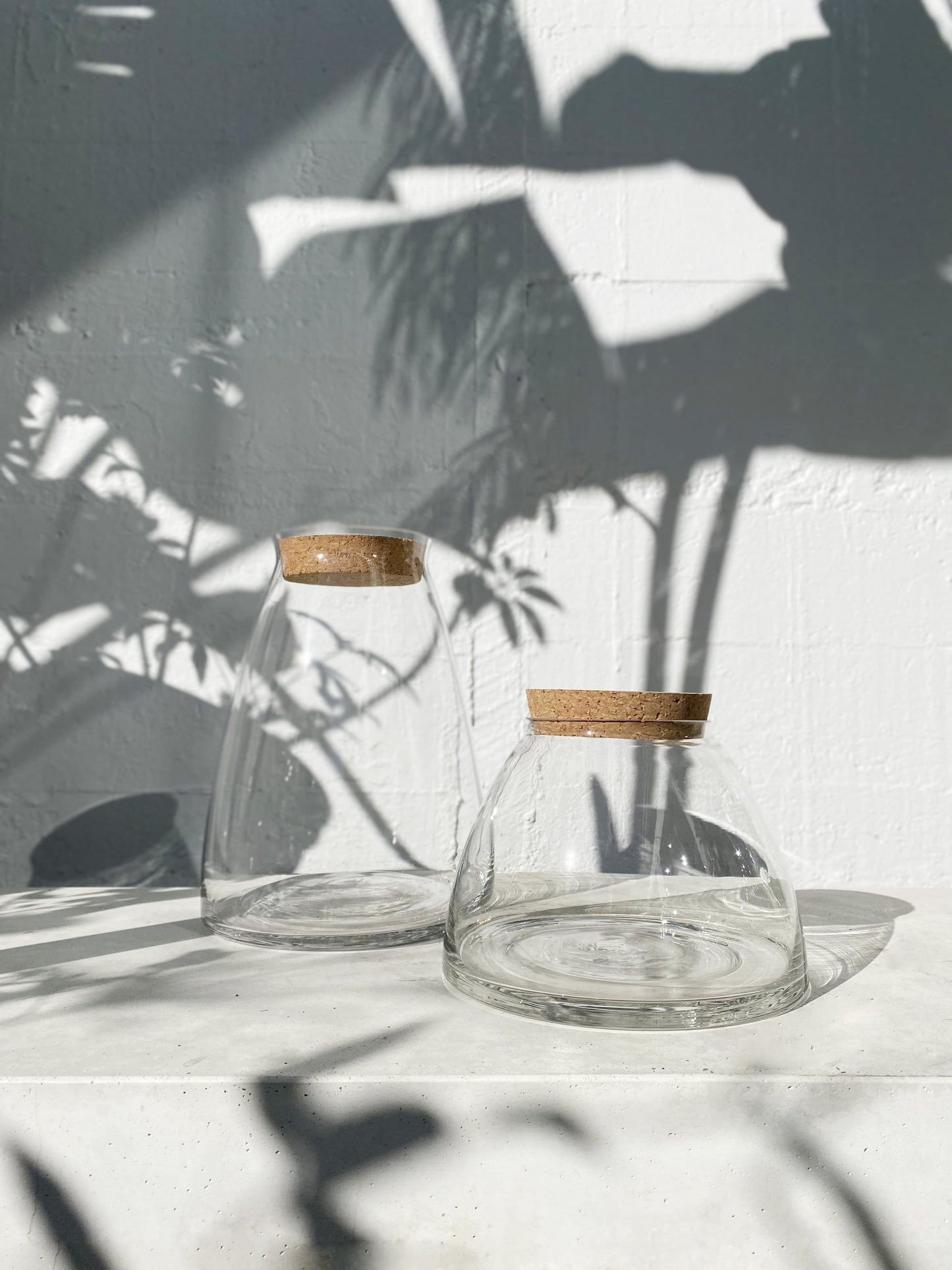 Fairy terrarium