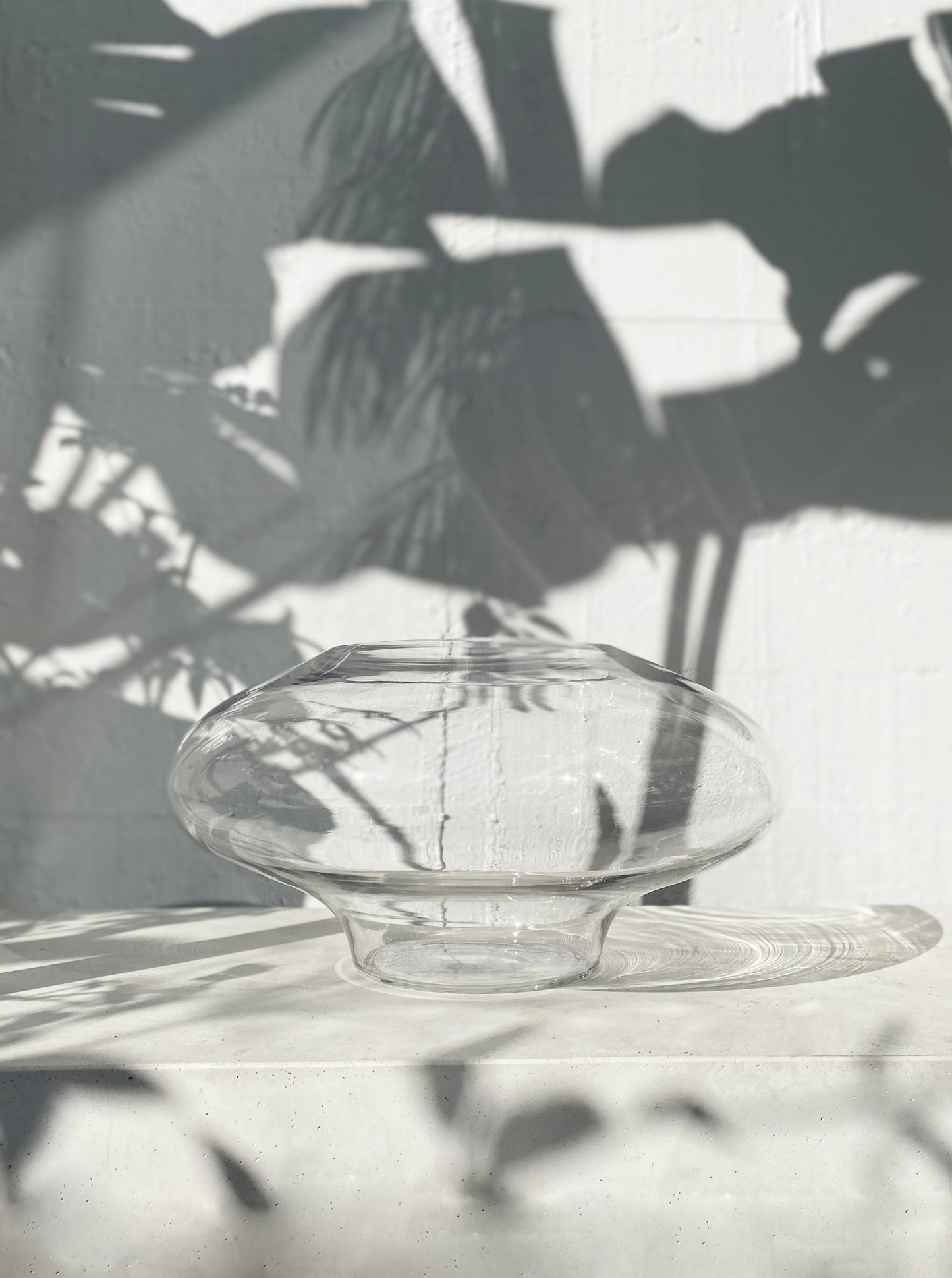 Fishbowl terrarium