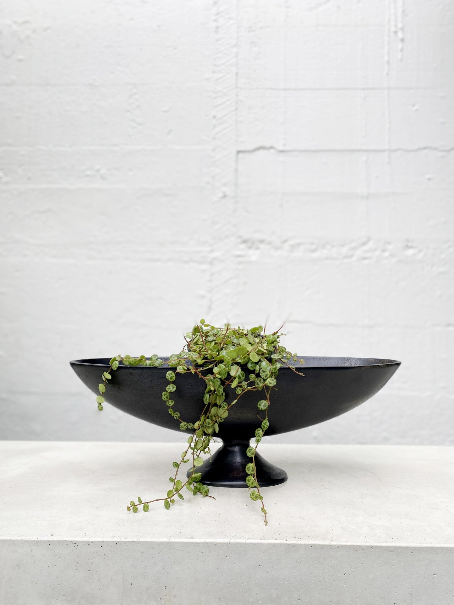 Foy bowl
