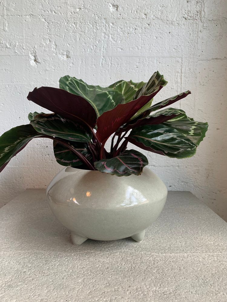Gidon Bing footed planter