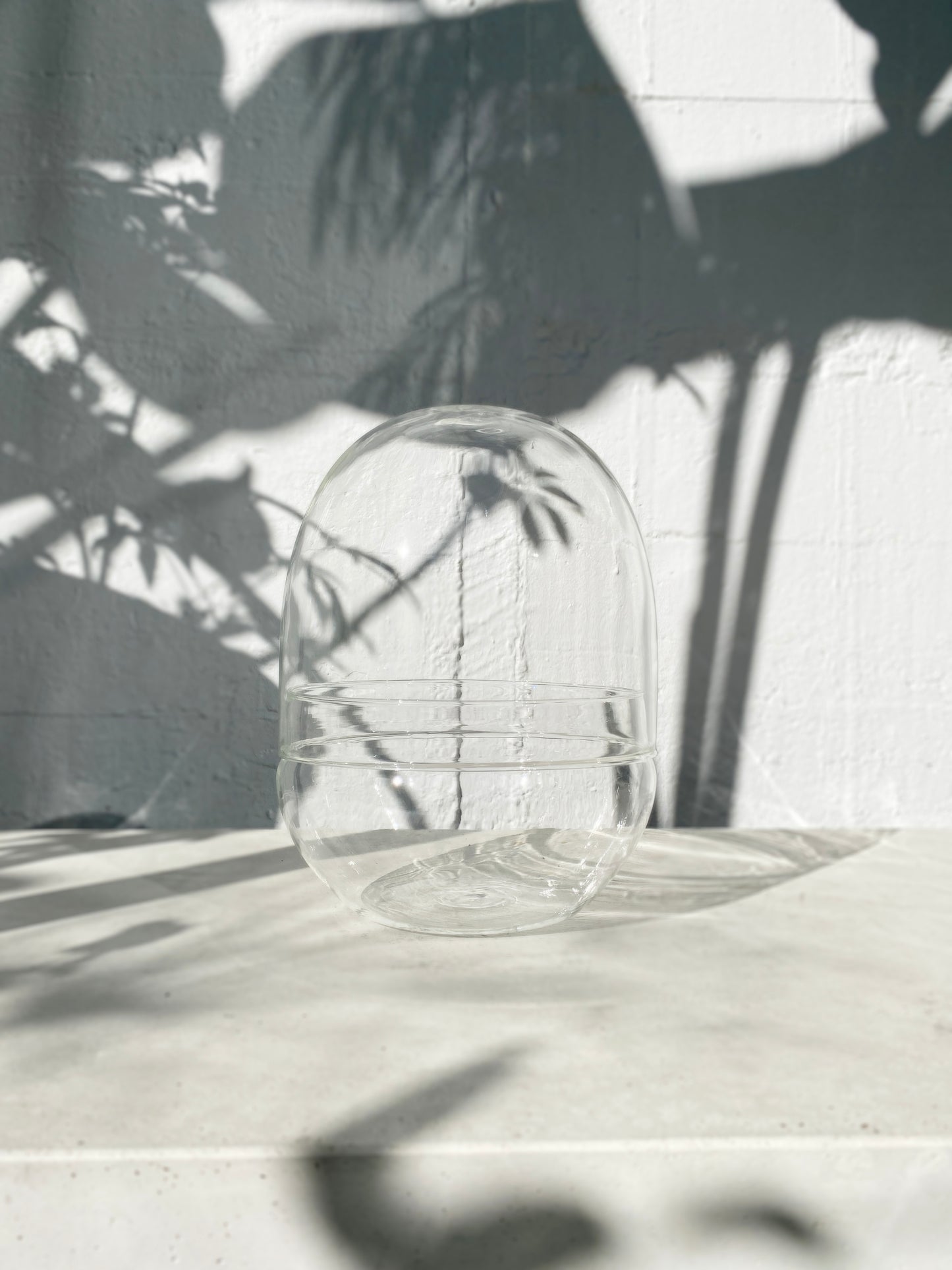 Glass egg terrarium