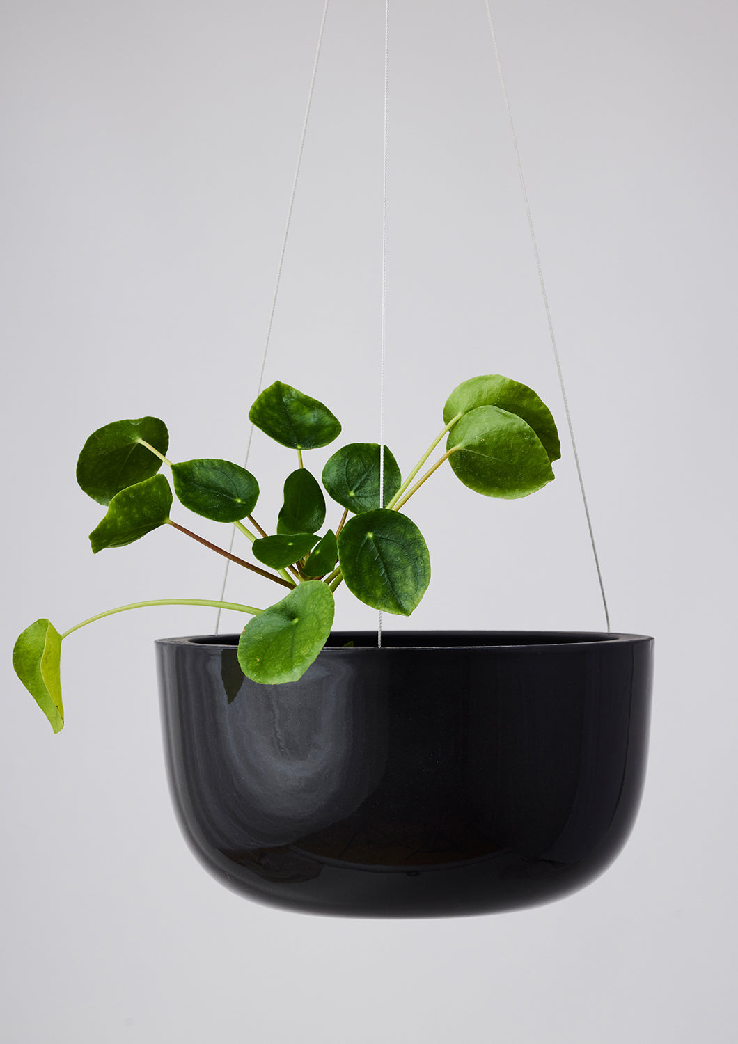 Glazed Earth Hanging Planter