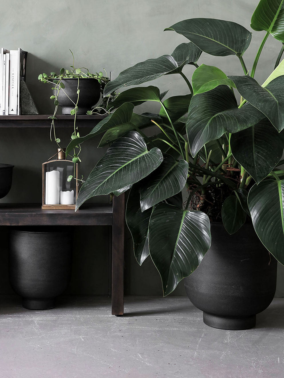 Vig planter