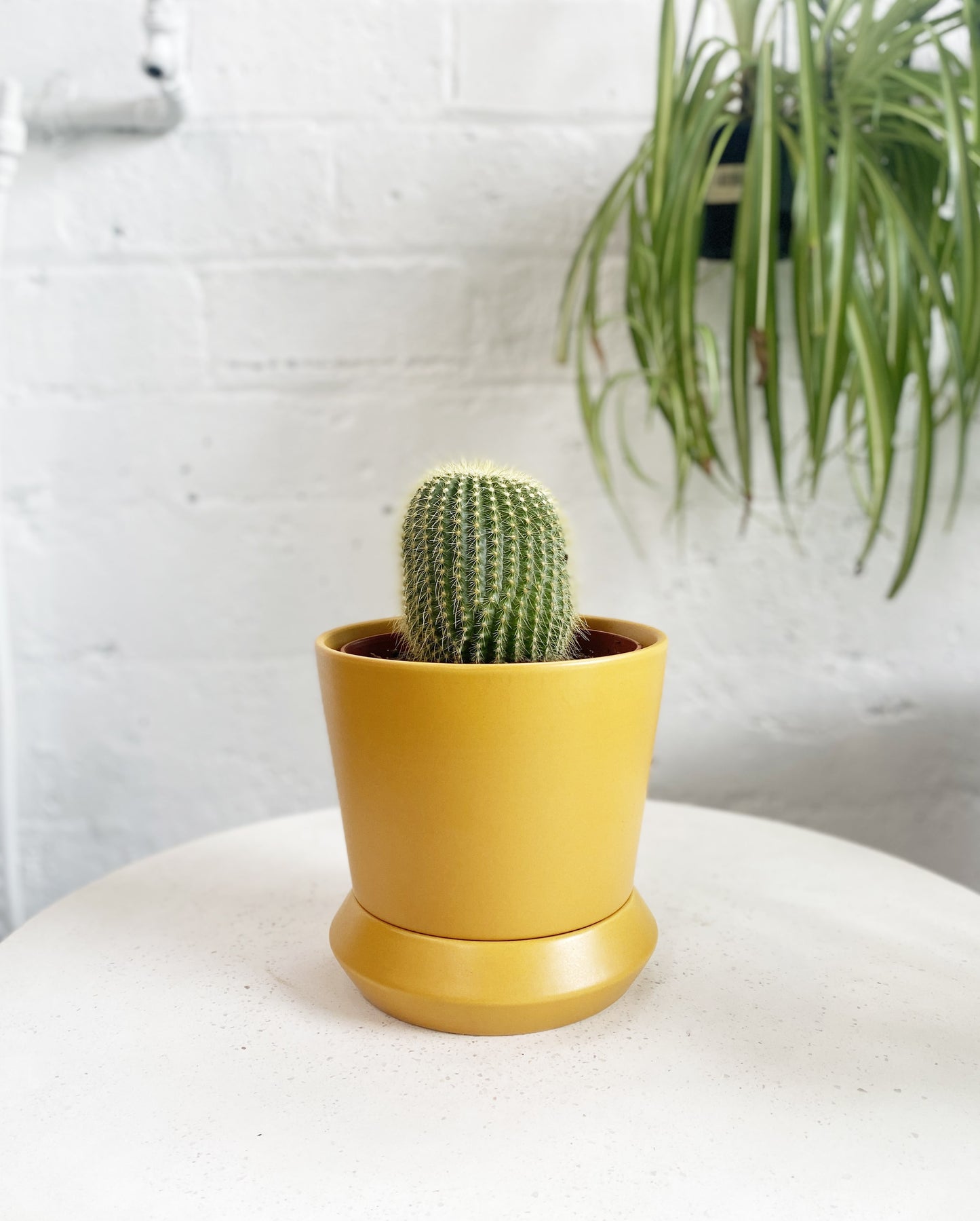 Hamburg Planter