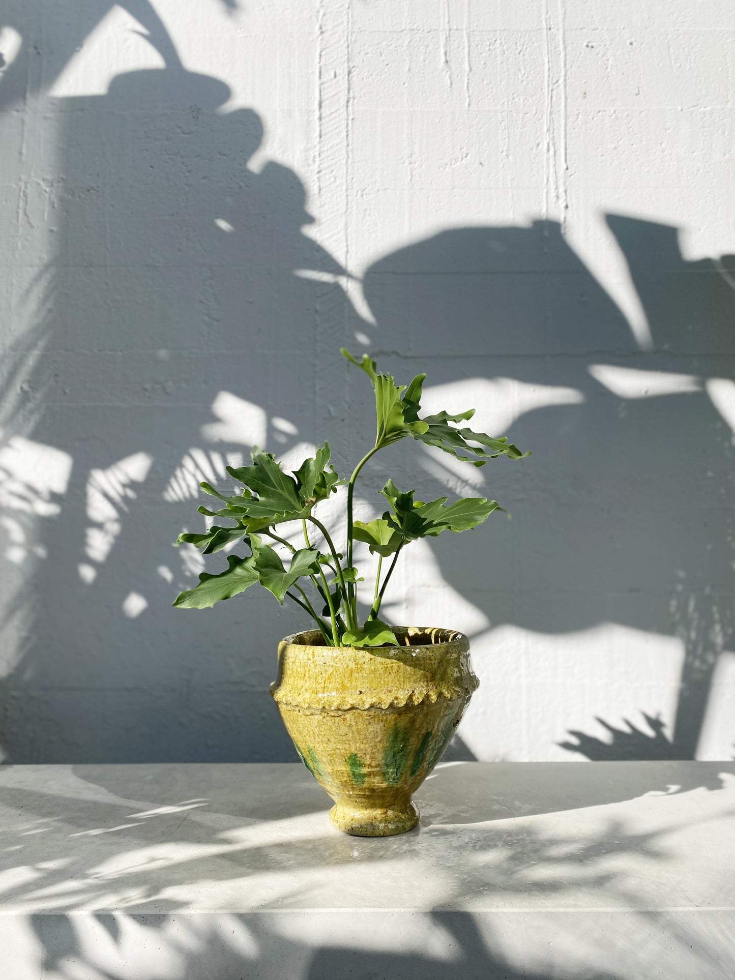 Moroccan plant pot