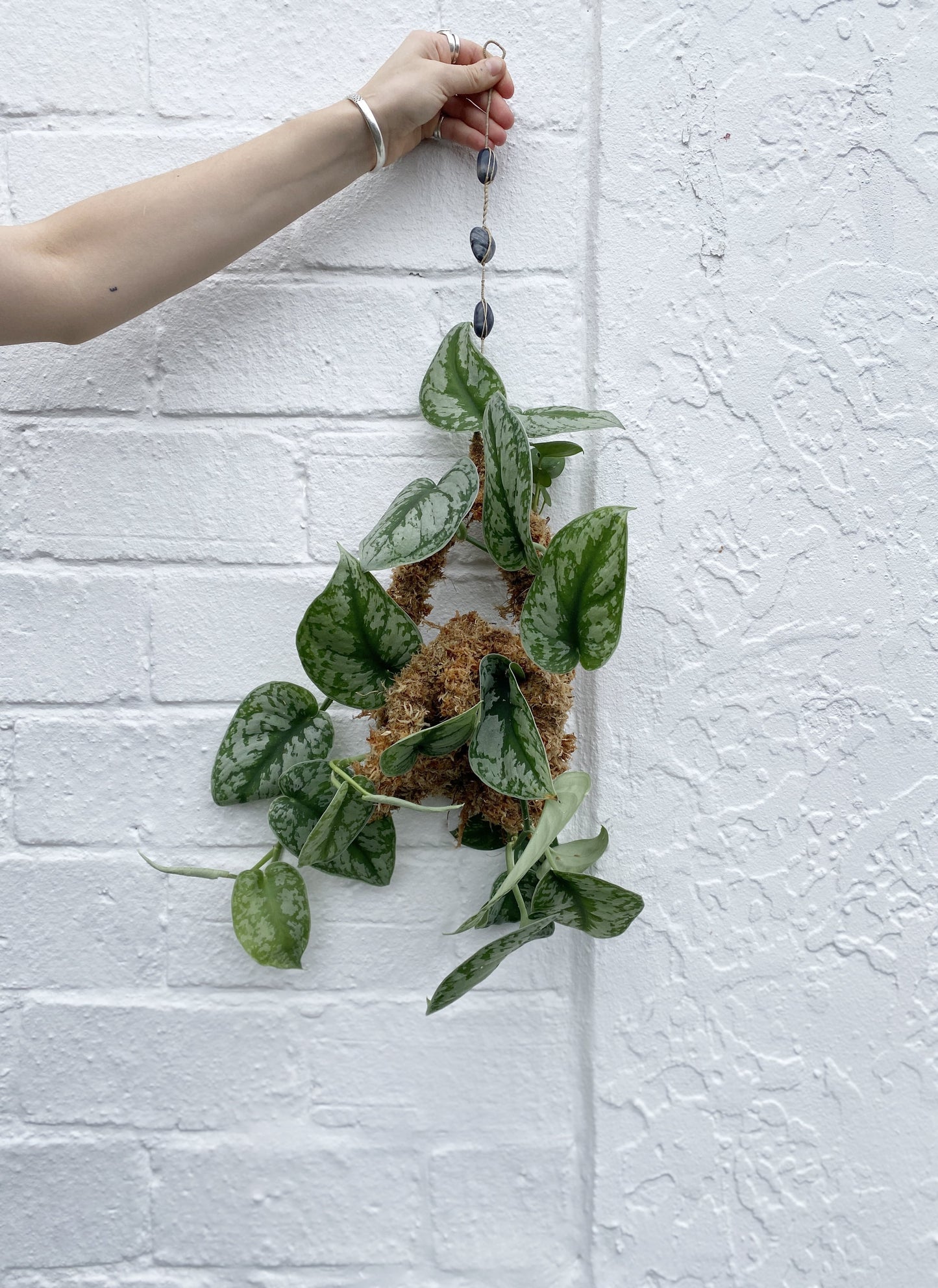 Handmade moss basket