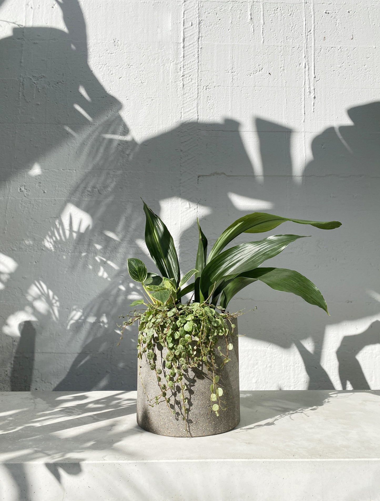 Oasis Shade Set