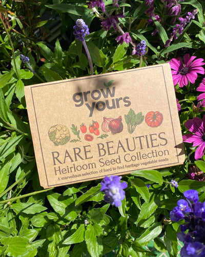 Grow Yours Rare beauties box