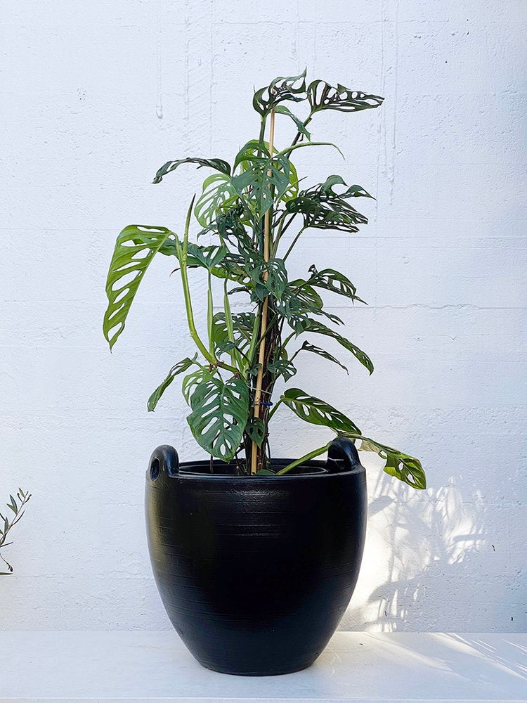 Rezna 2 Handle Planter