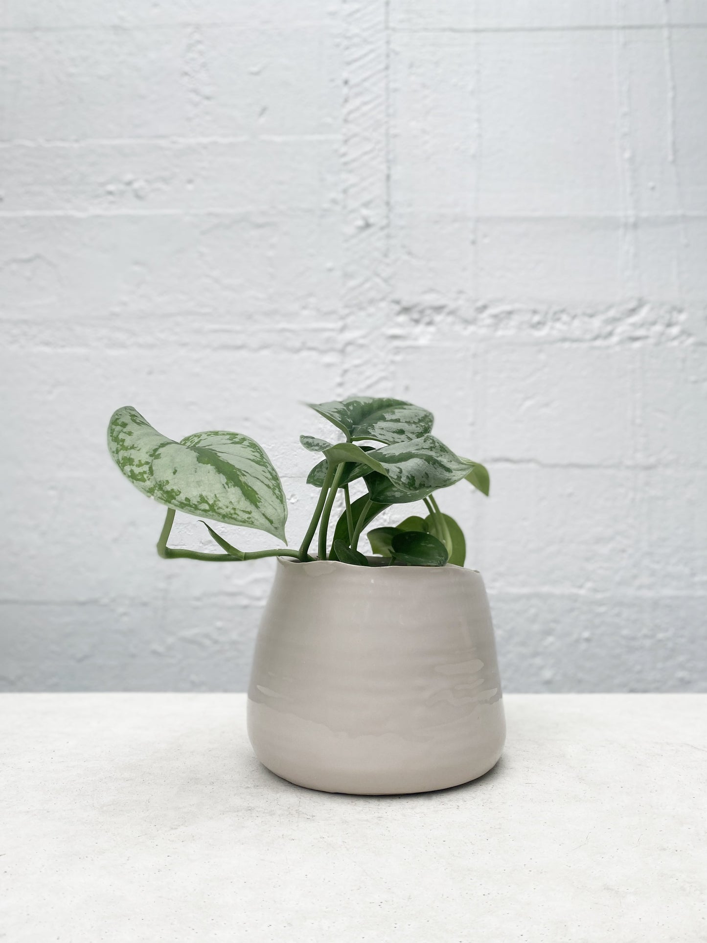 Ripple Pot