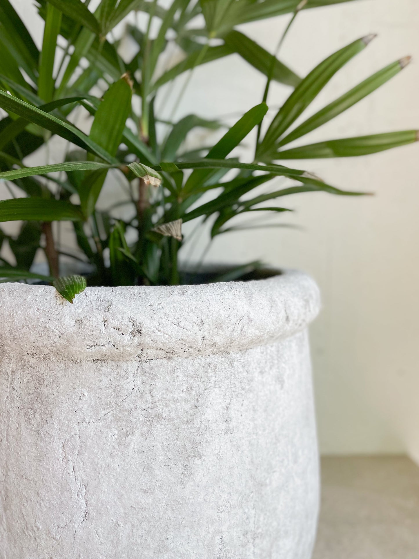 Rolled Edge Stone Planter