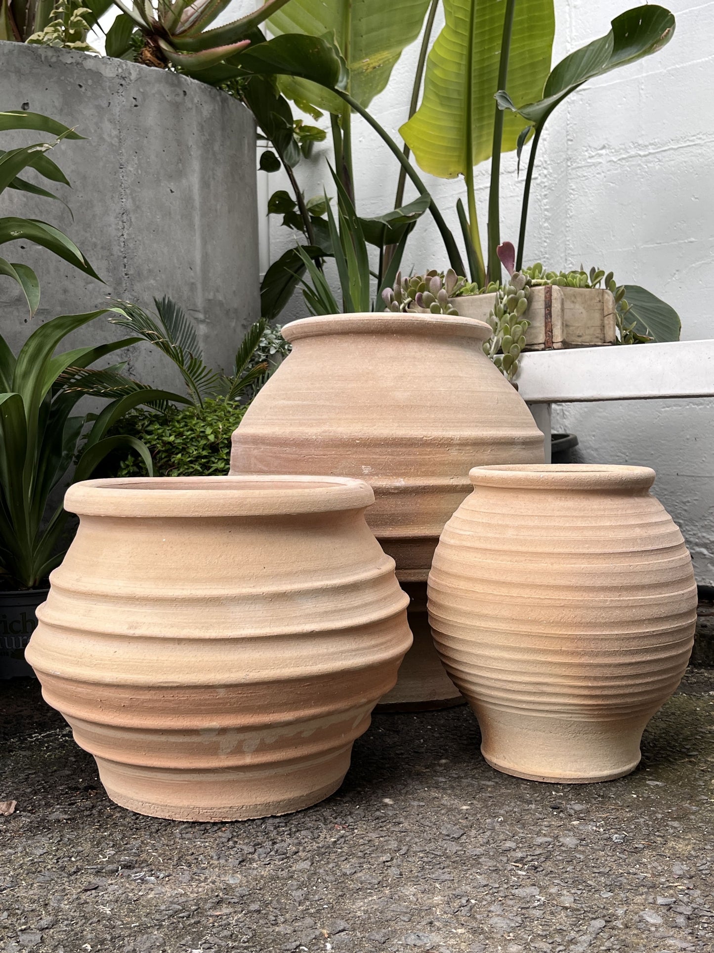 Koronios Urn