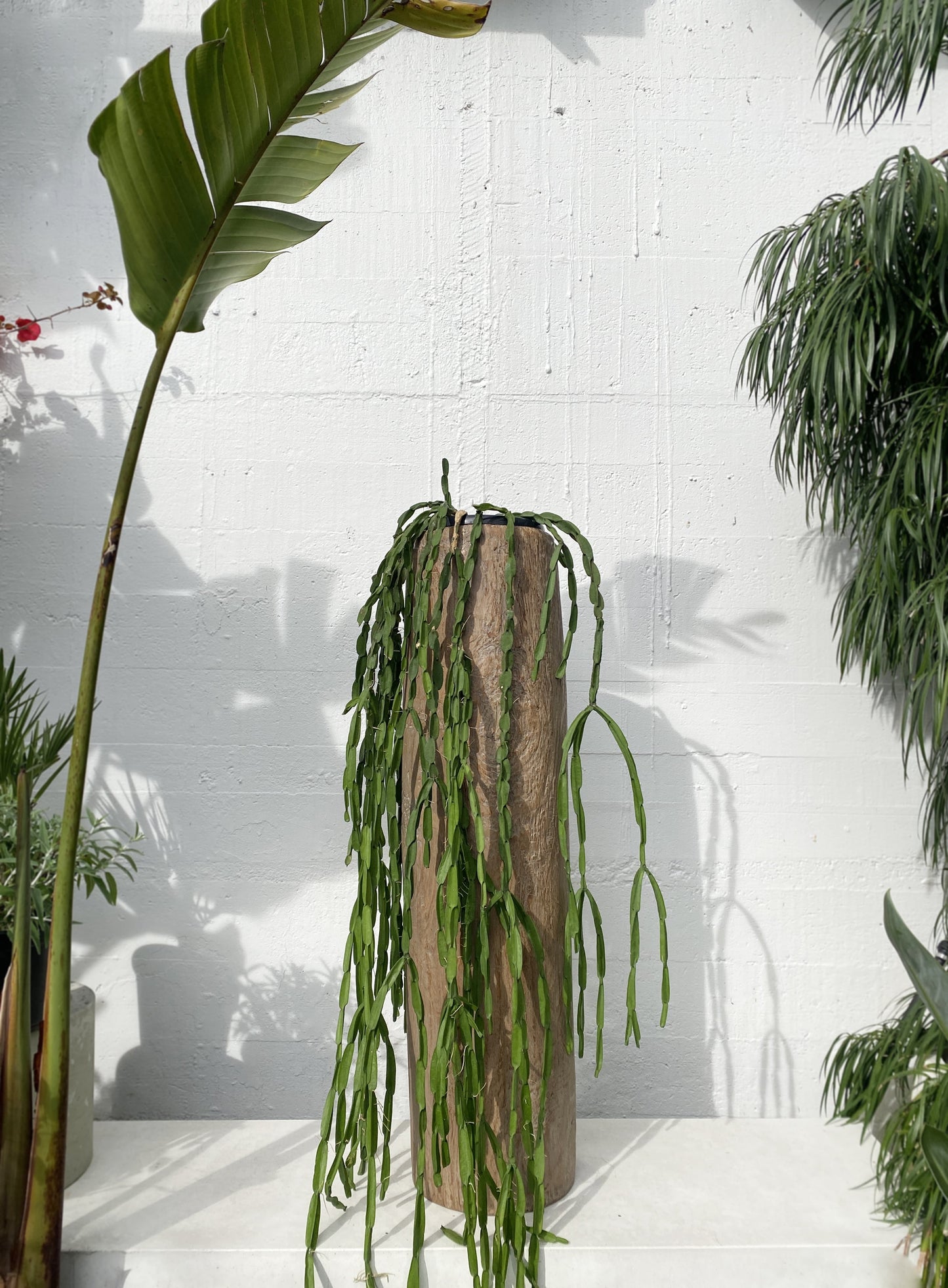 Antique cylinder planter