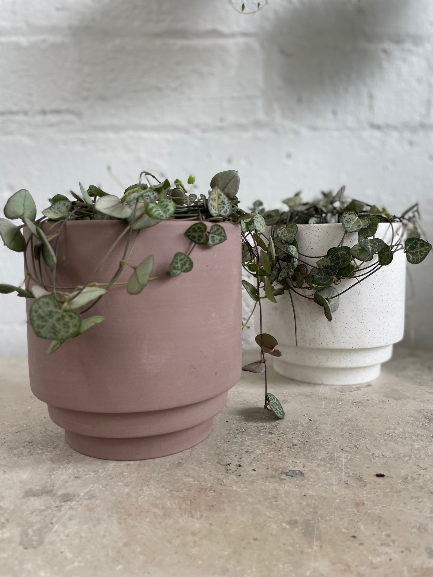 Berkley planter
