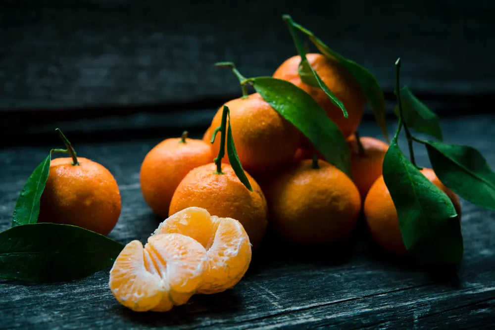 Citrus reticulata Miho - Mandarin