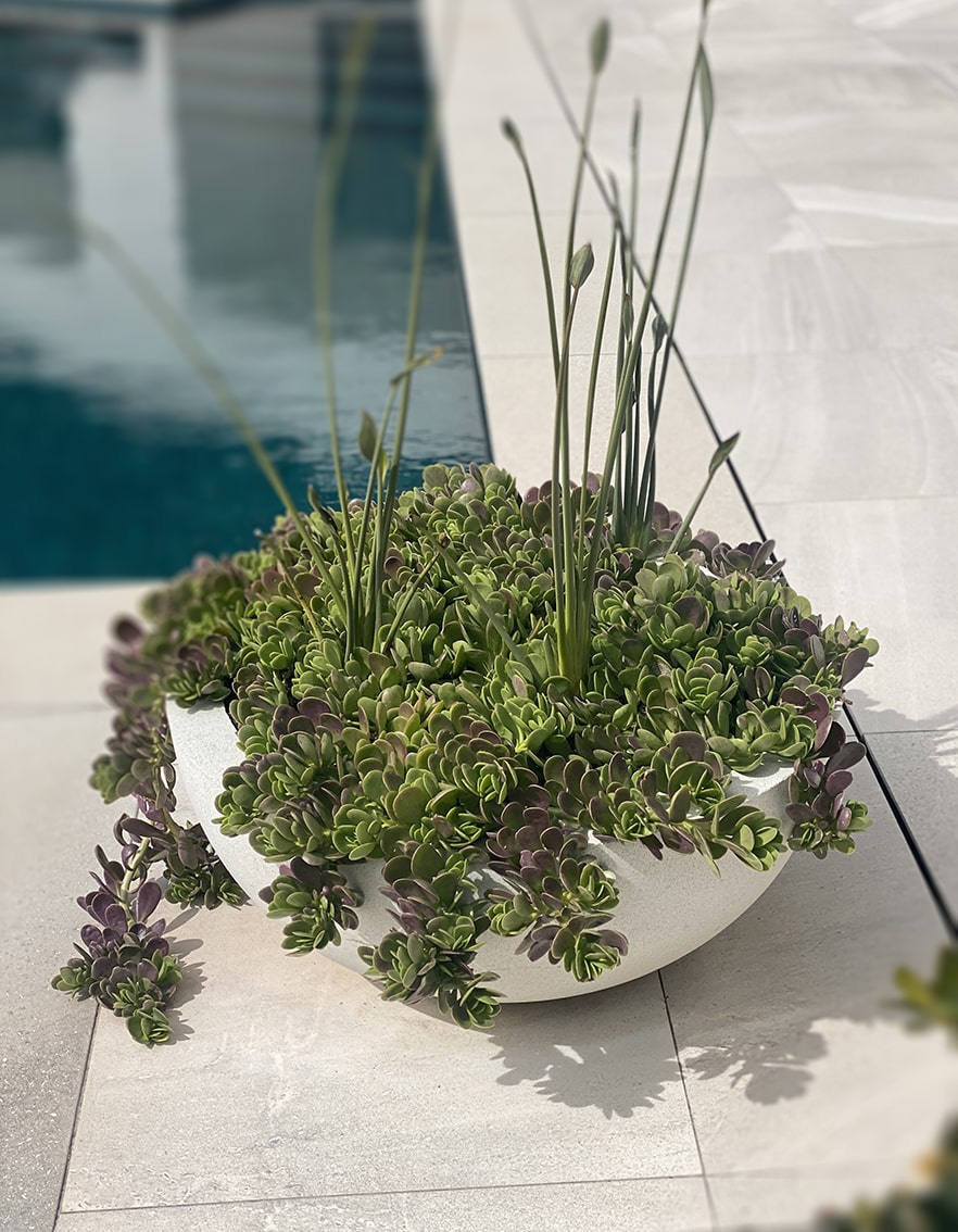Kilarney stone sphere planter