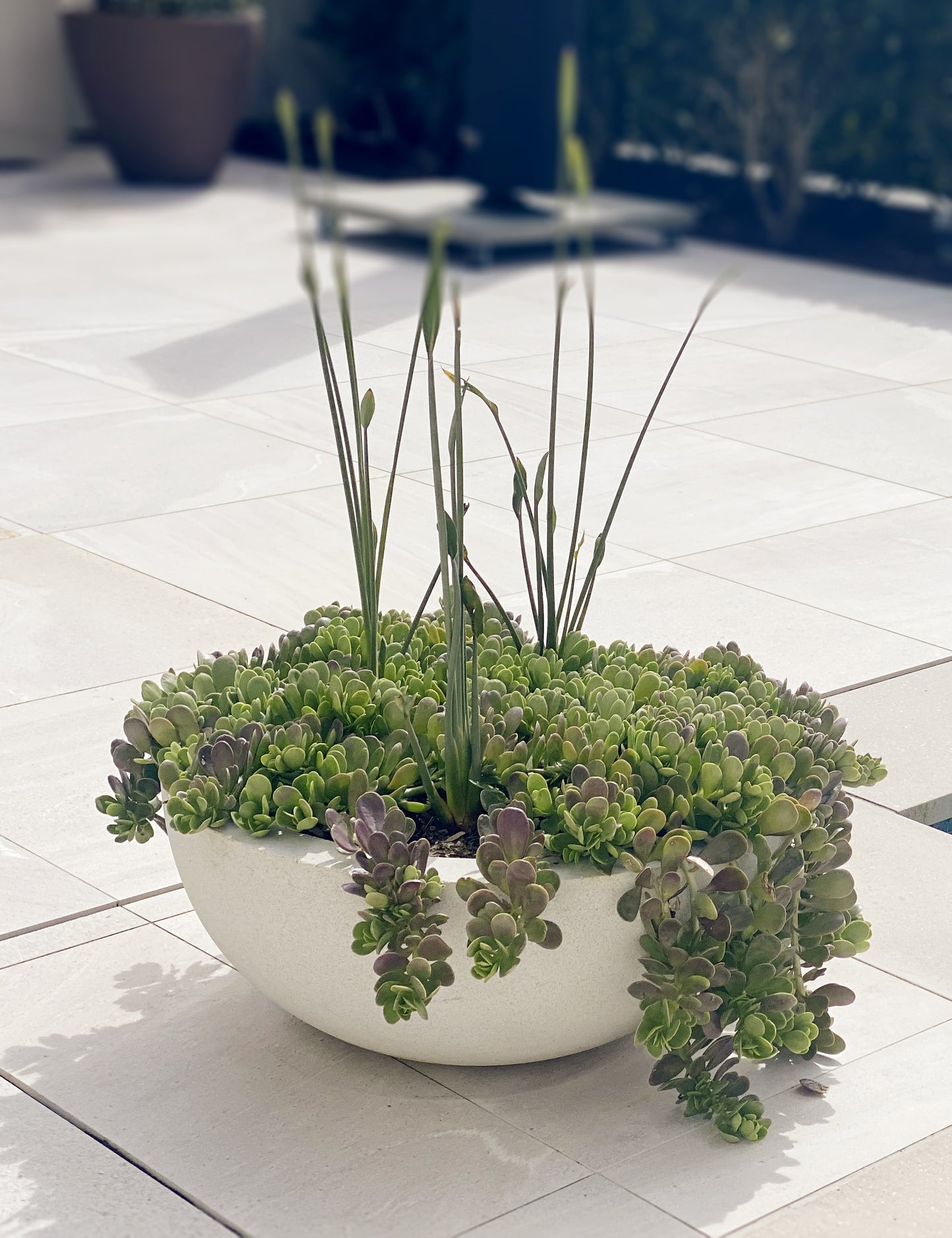 Kilarney stone sphere planter