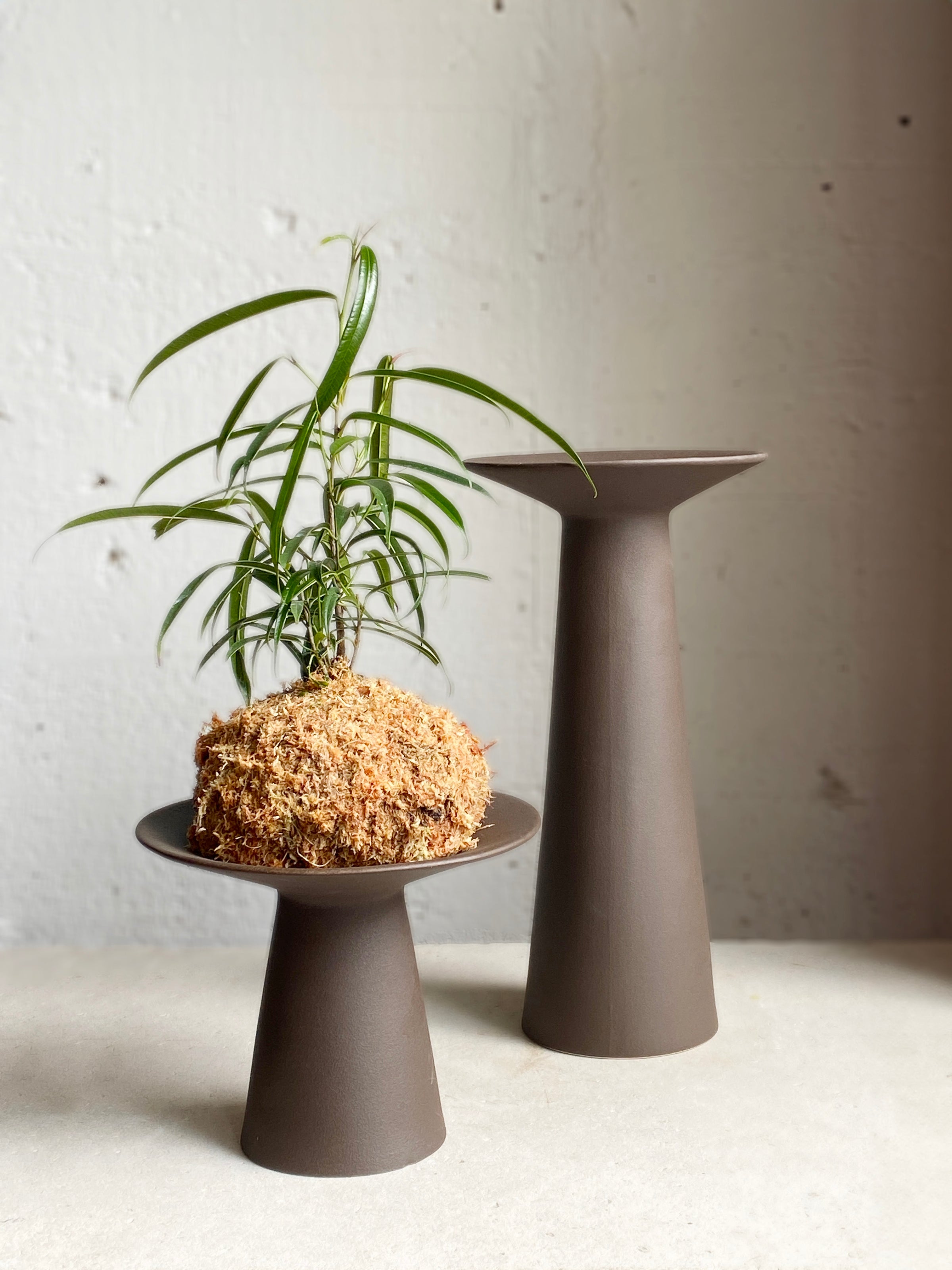 Kristina Dam Collar Vase