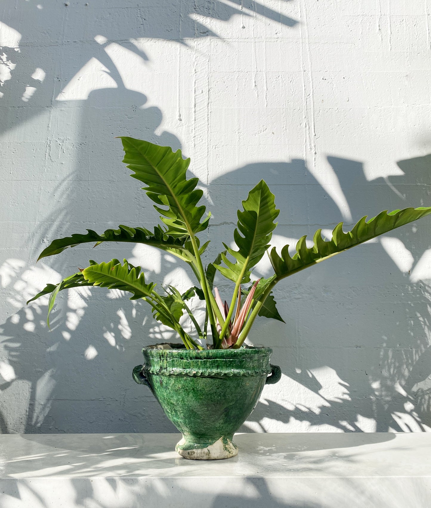 Moroccan plant pot