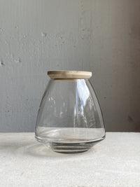 Nymph terrarium
