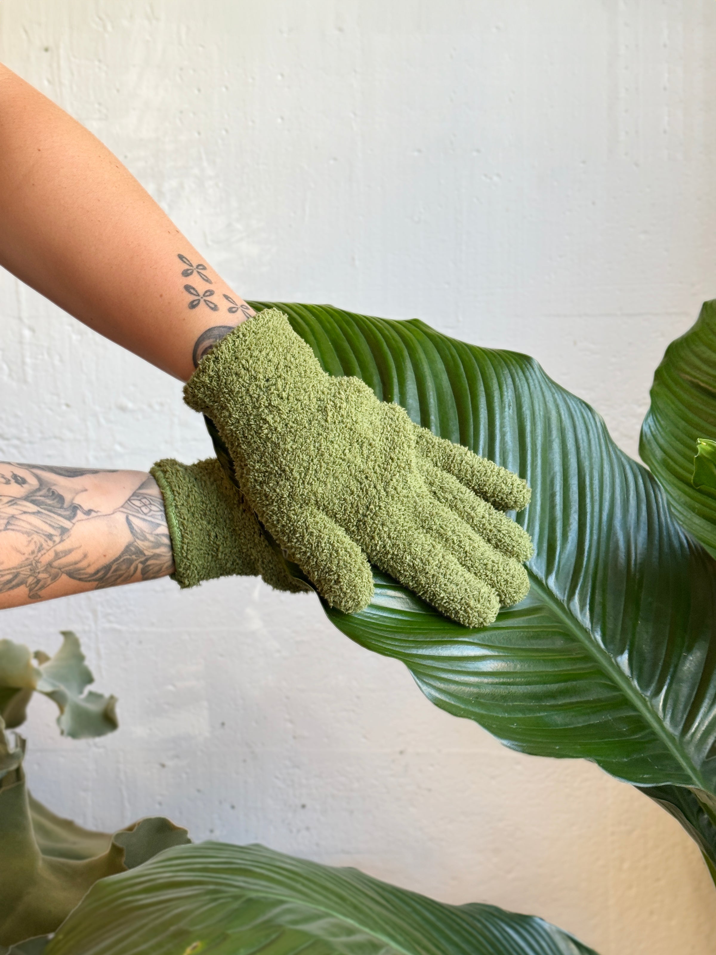 Potted Plant Treatment Visit
