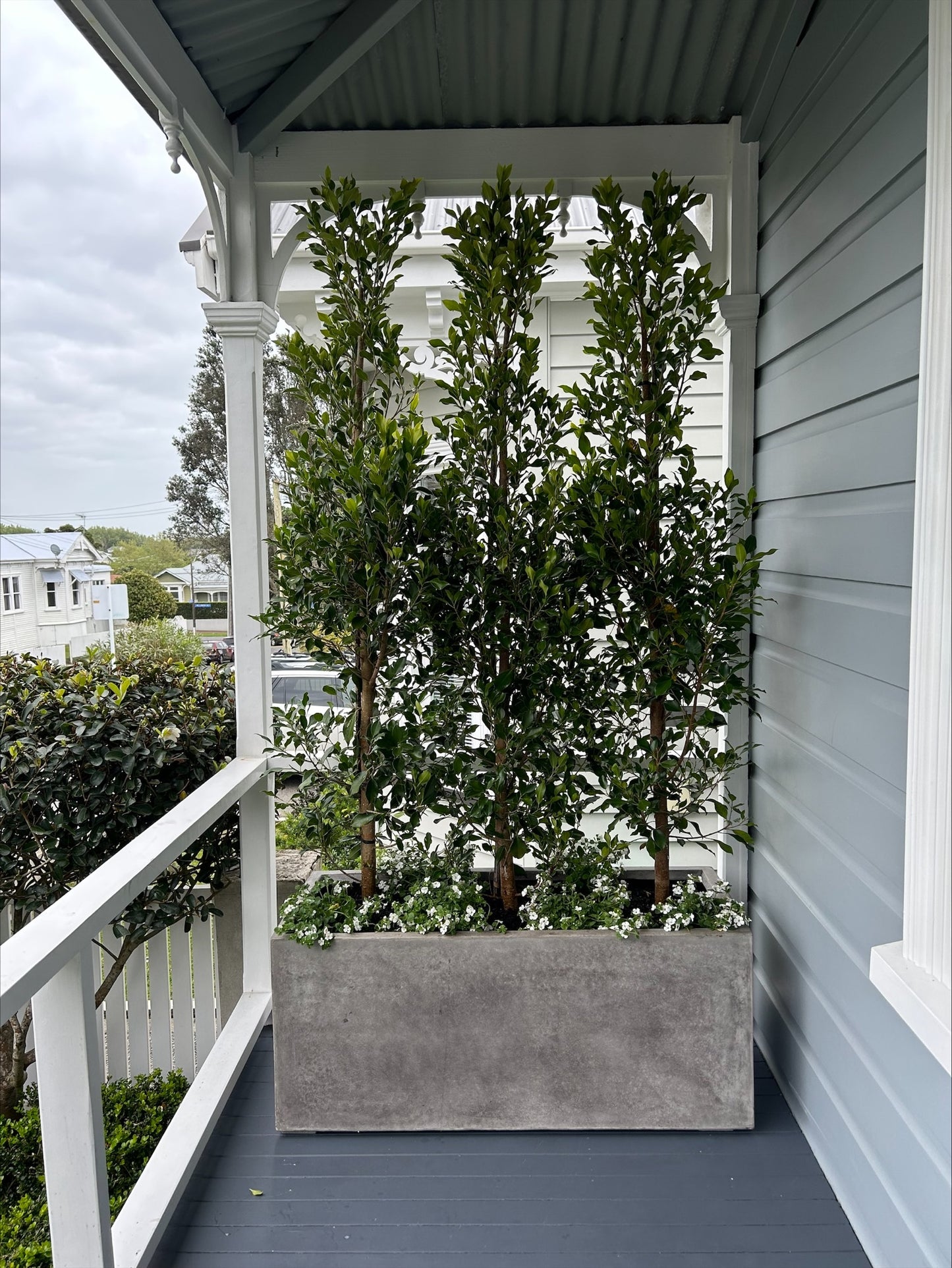 Waihou Planter