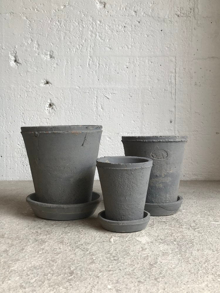 AT terracotta pot with saucer