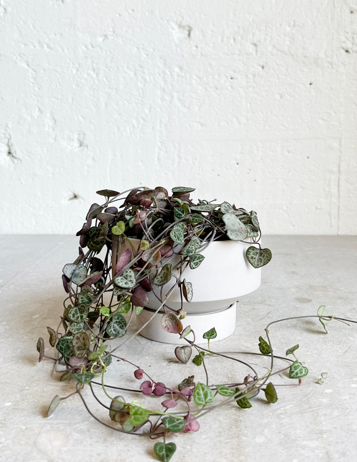 Parlour vase