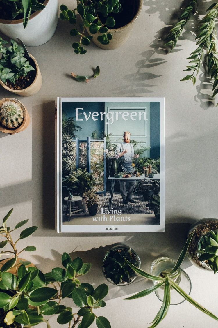 Evergreen- living with plants – Babylon Store