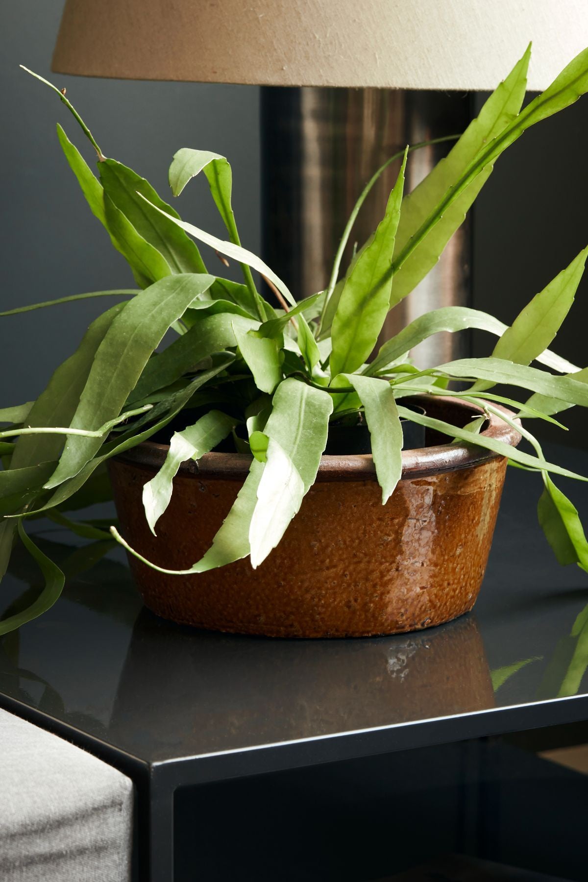 Whai Planter