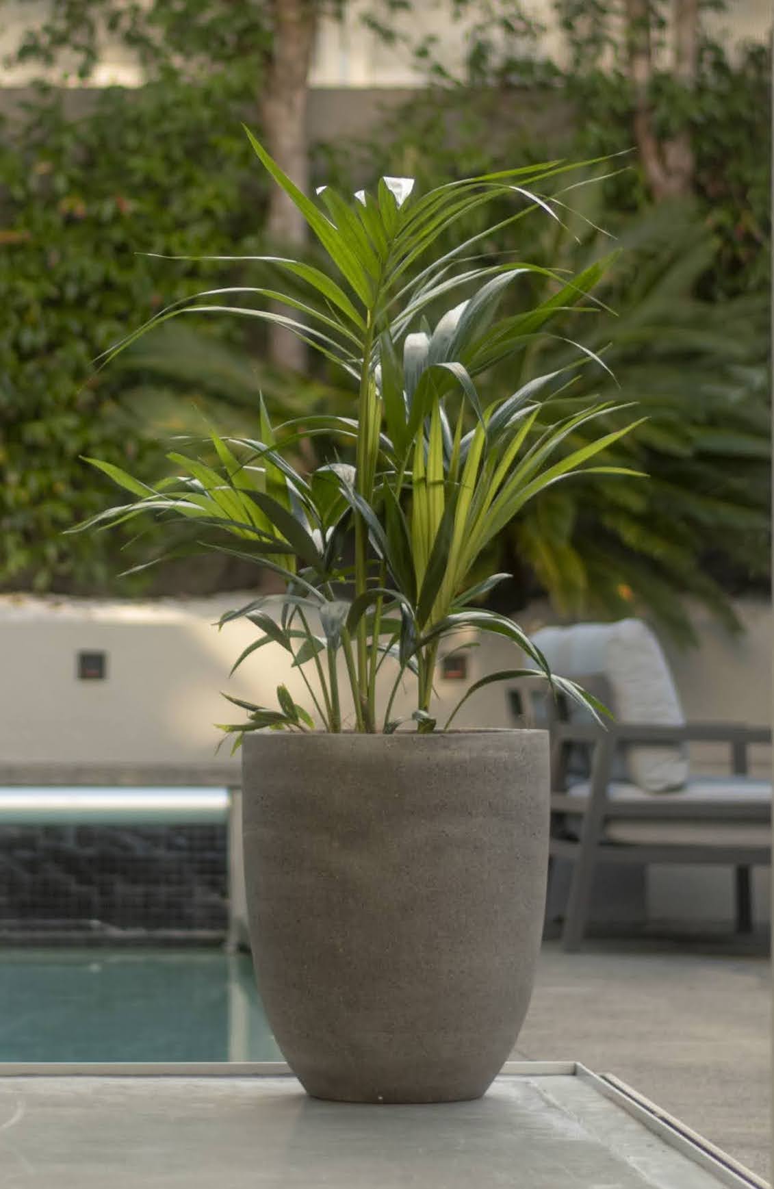 Riverstone Plaza Planter