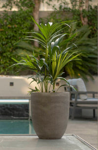 Riverstone Plaza Planter