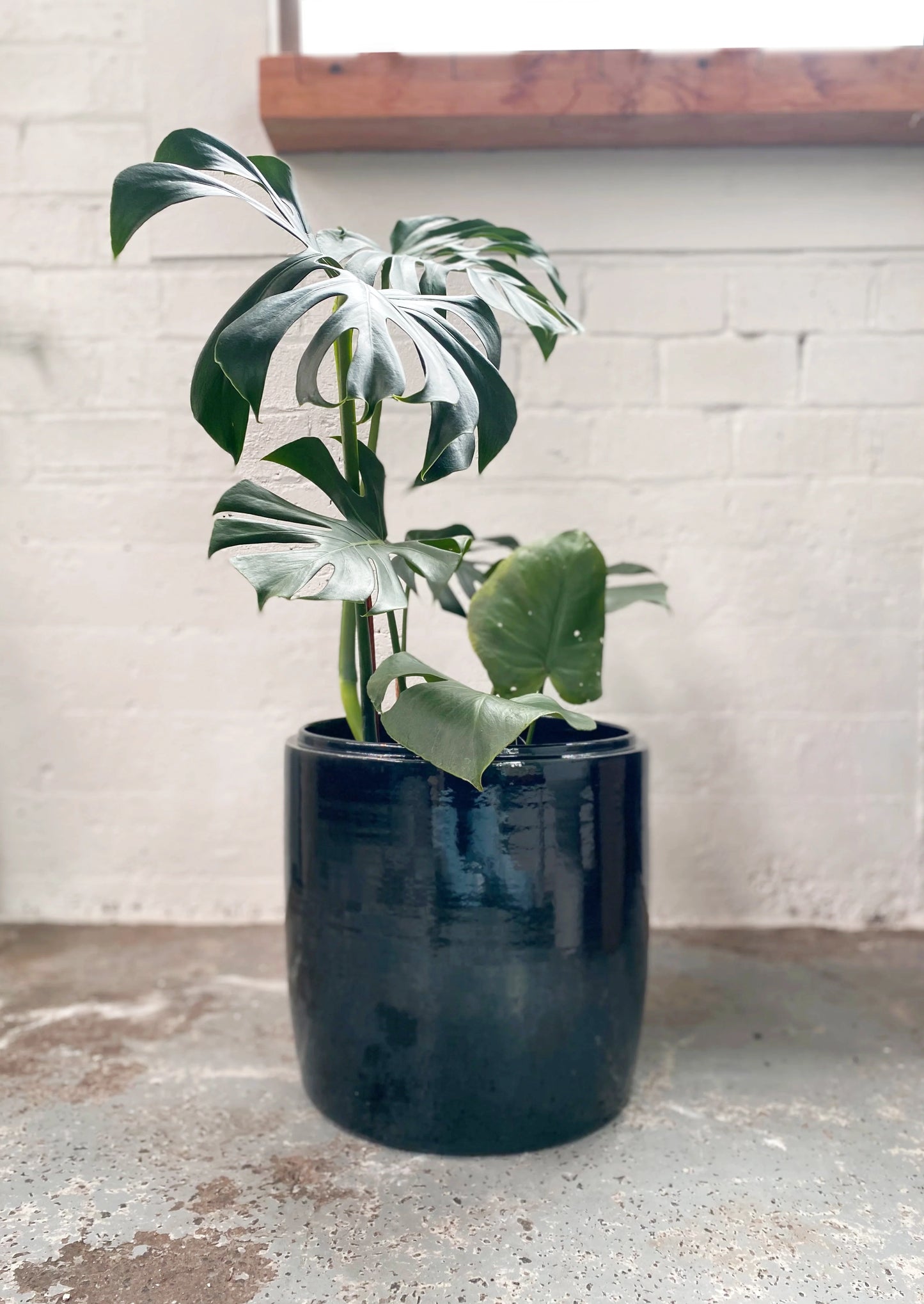 Serax flower pot