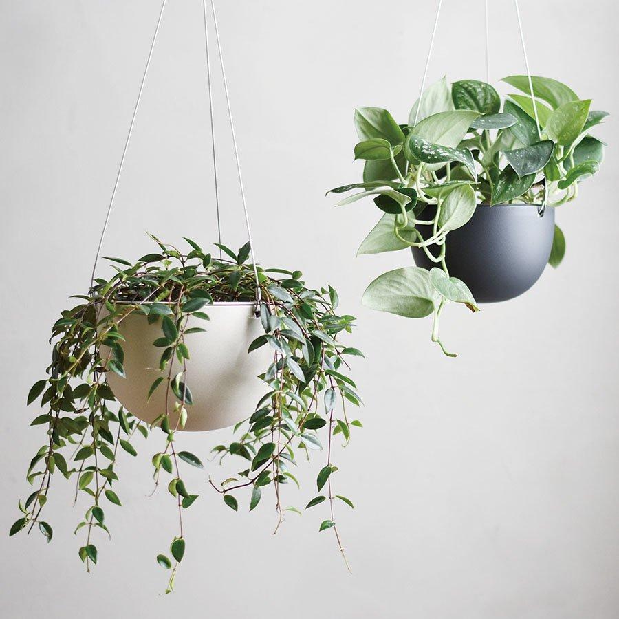 Hanging pots