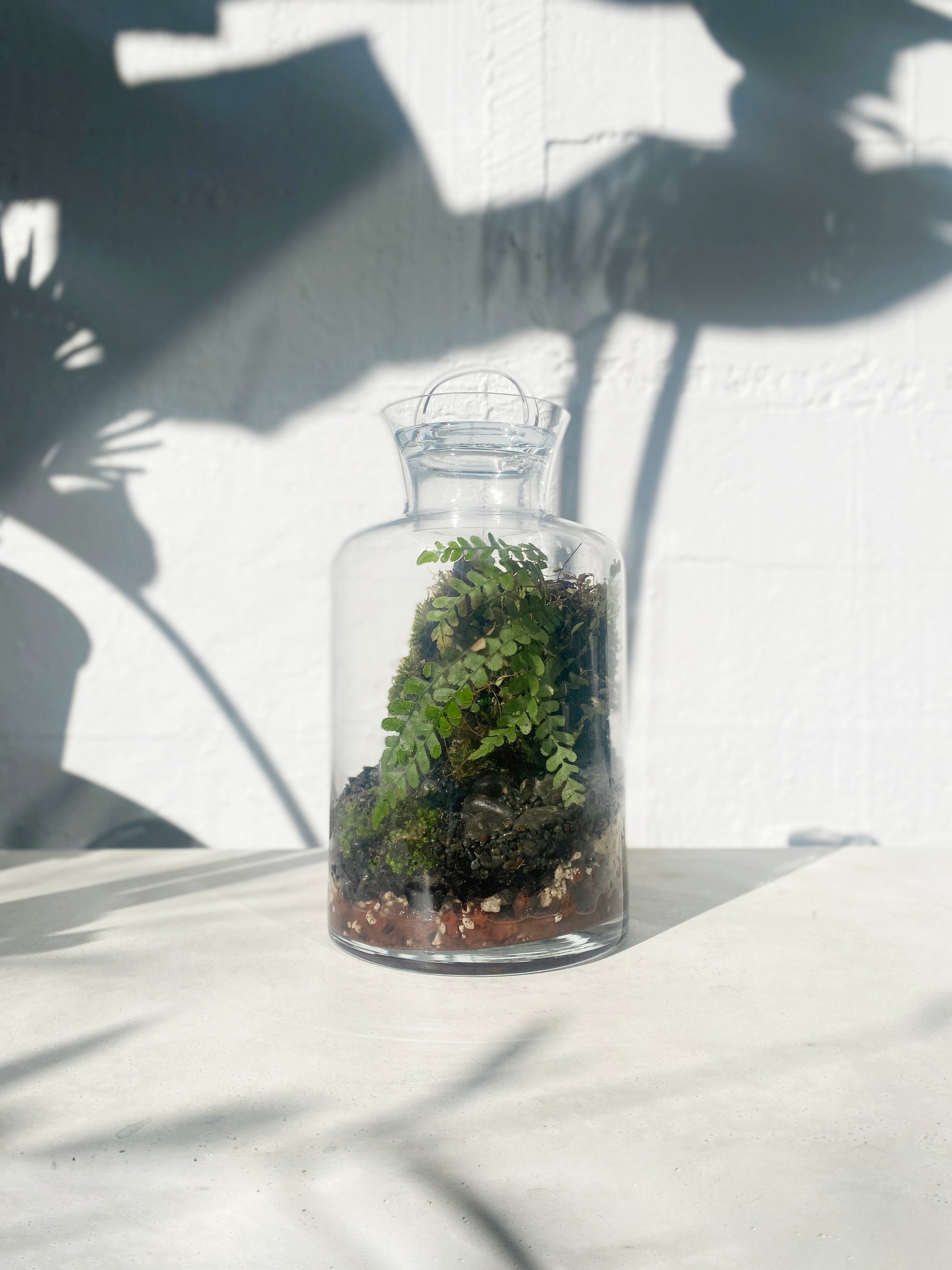 Terrarium Vessels