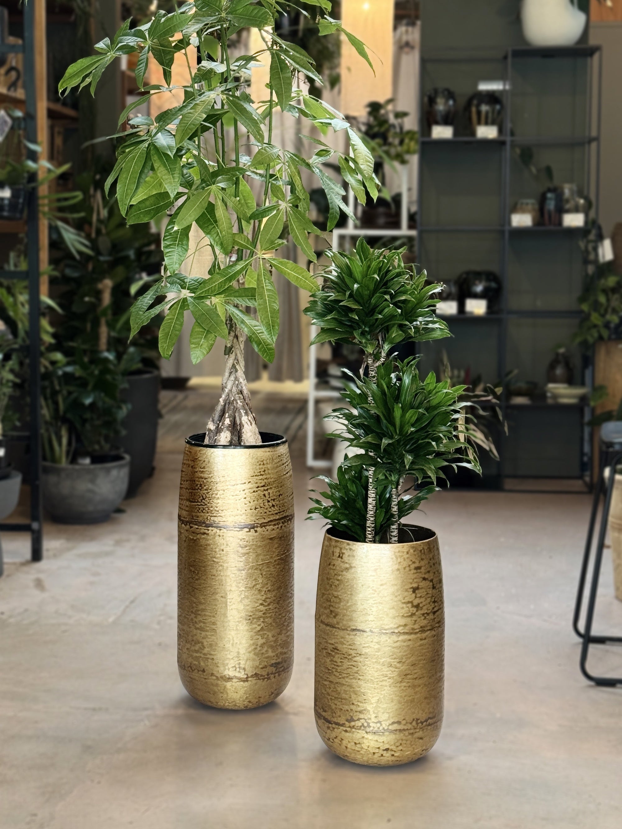 Narrow Pots