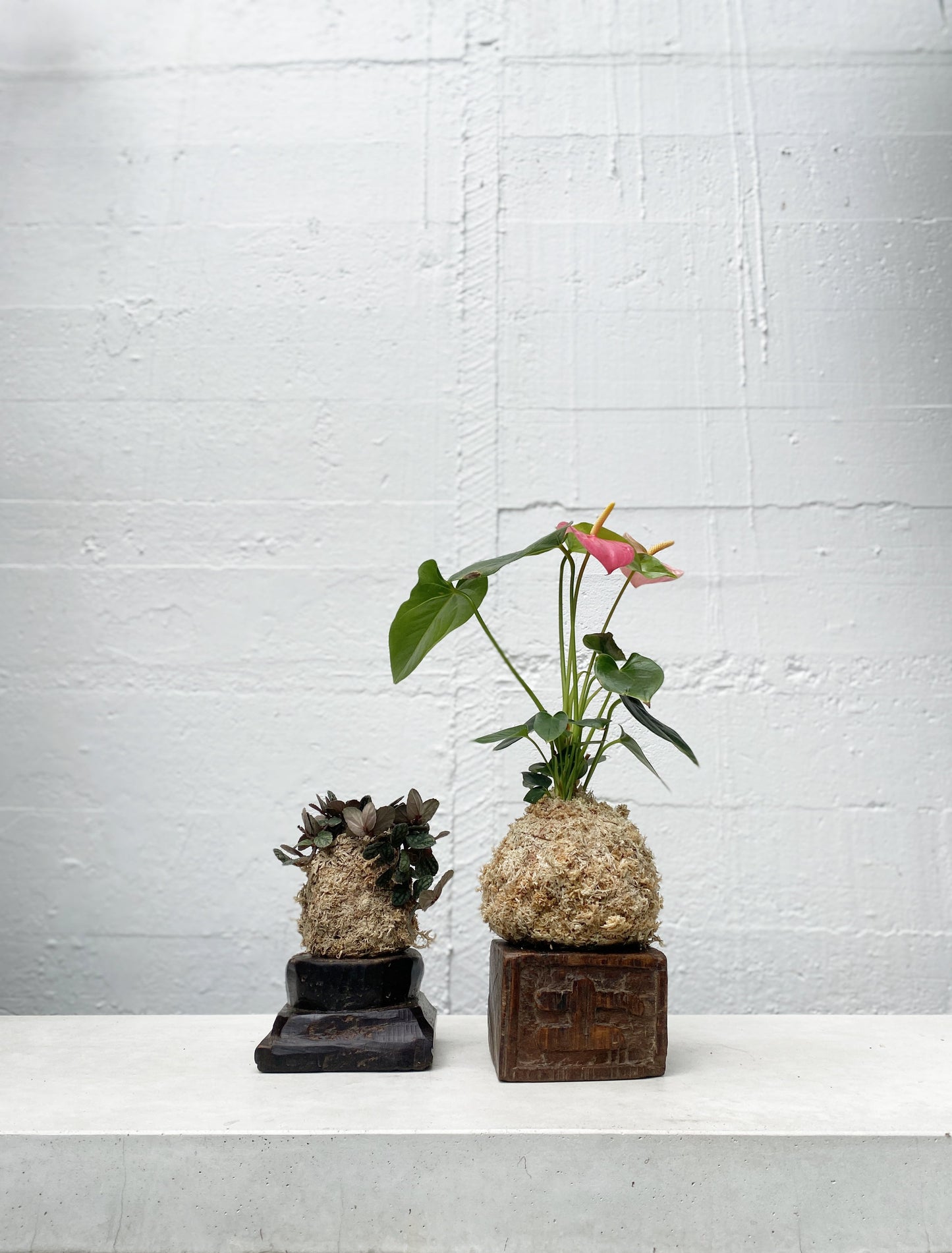 Antique Indian Kokedama Stand