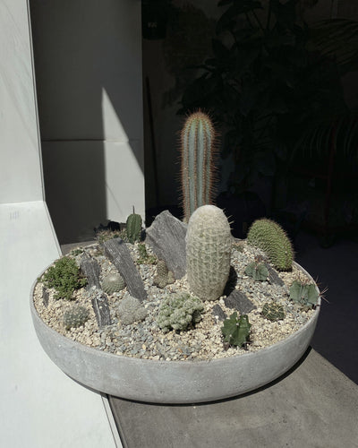 Arizona concrete bowl set
