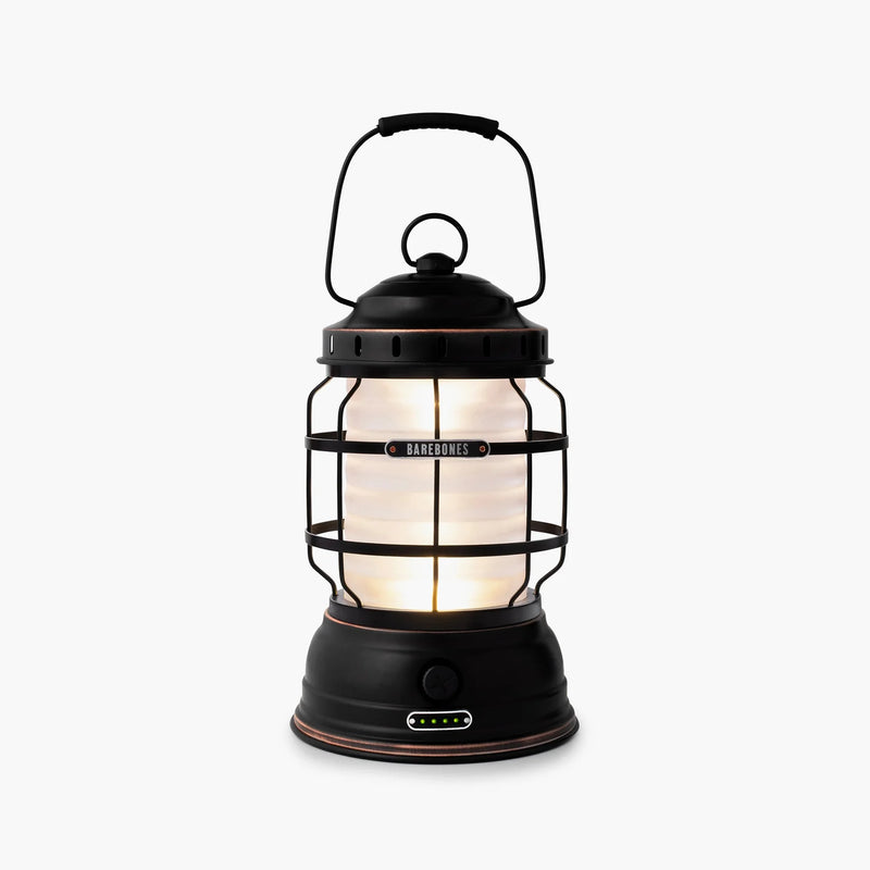 Forest lantern