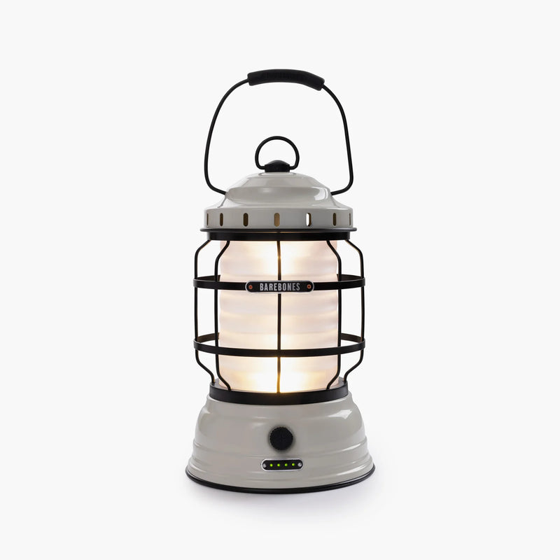 Forest lantern