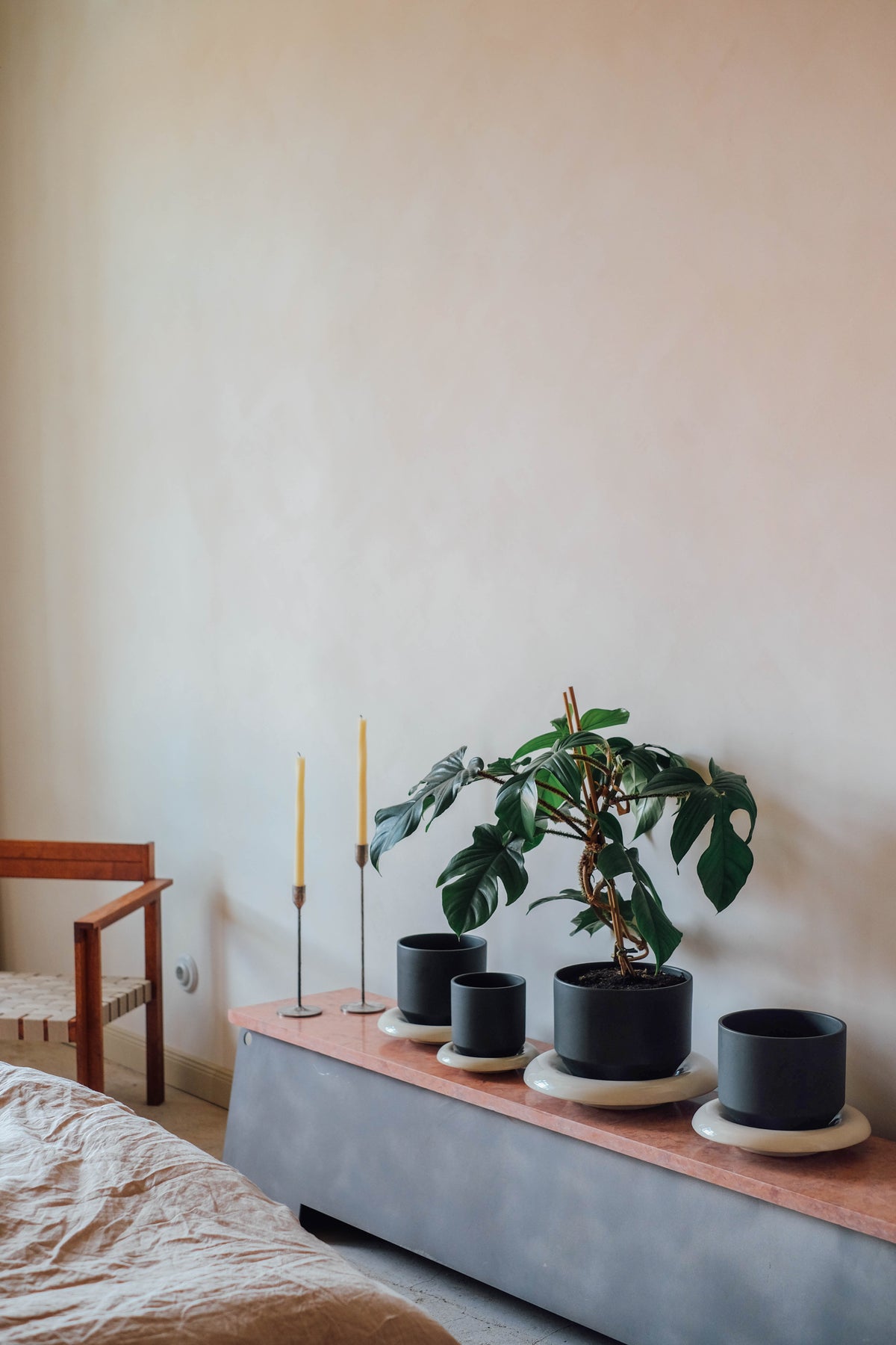 Potted plants on a wooden shelf against a white wall