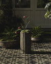 Rift Planter