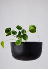 Glazed Earth Hanging Planter