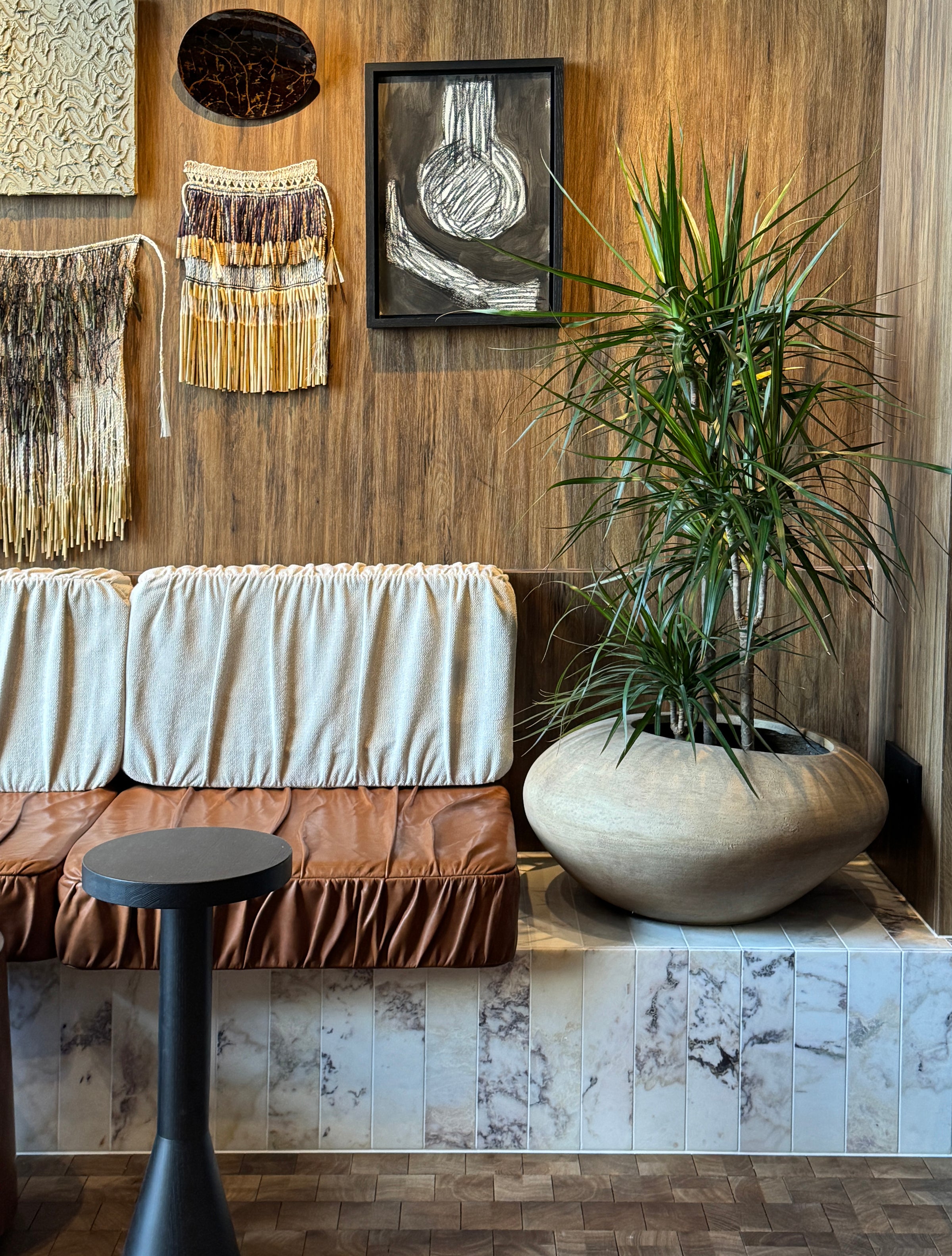 dracaena marginata nz Dracaena marginata – Babylon Store