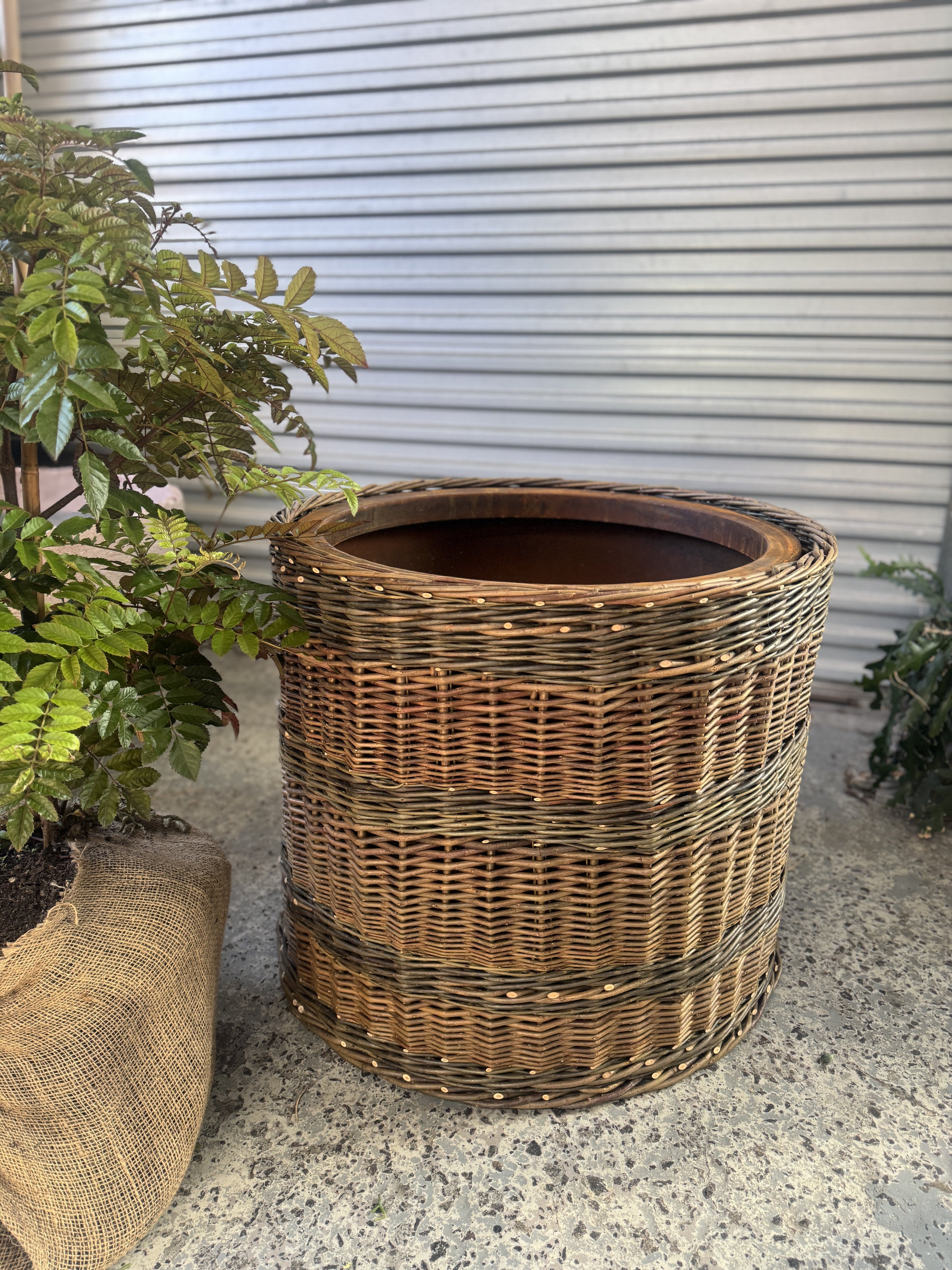 Willow (wicker) vege basket with corten steel inner